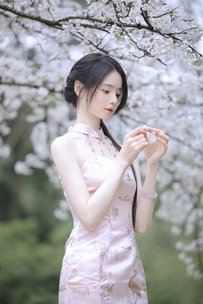 甄嬛传