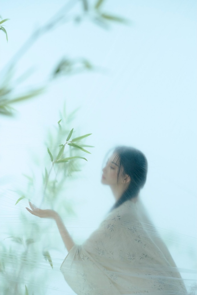 完美的日子
