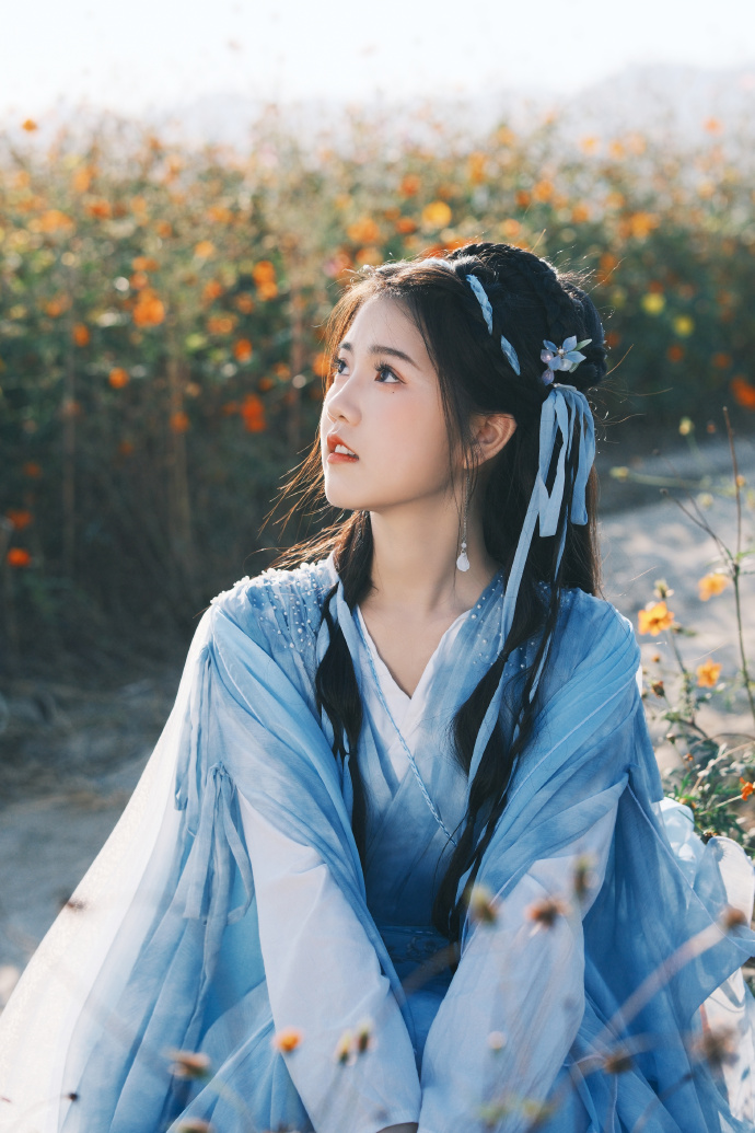 指环王：护戒使者 封面
