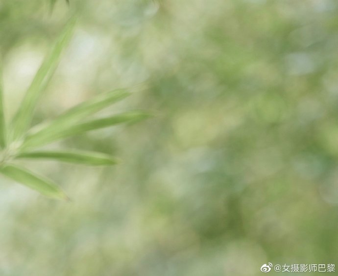 被嫌弃的松子的一生